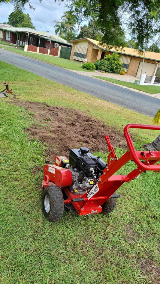 Should I Remove Tree Stumps From My Backyard?