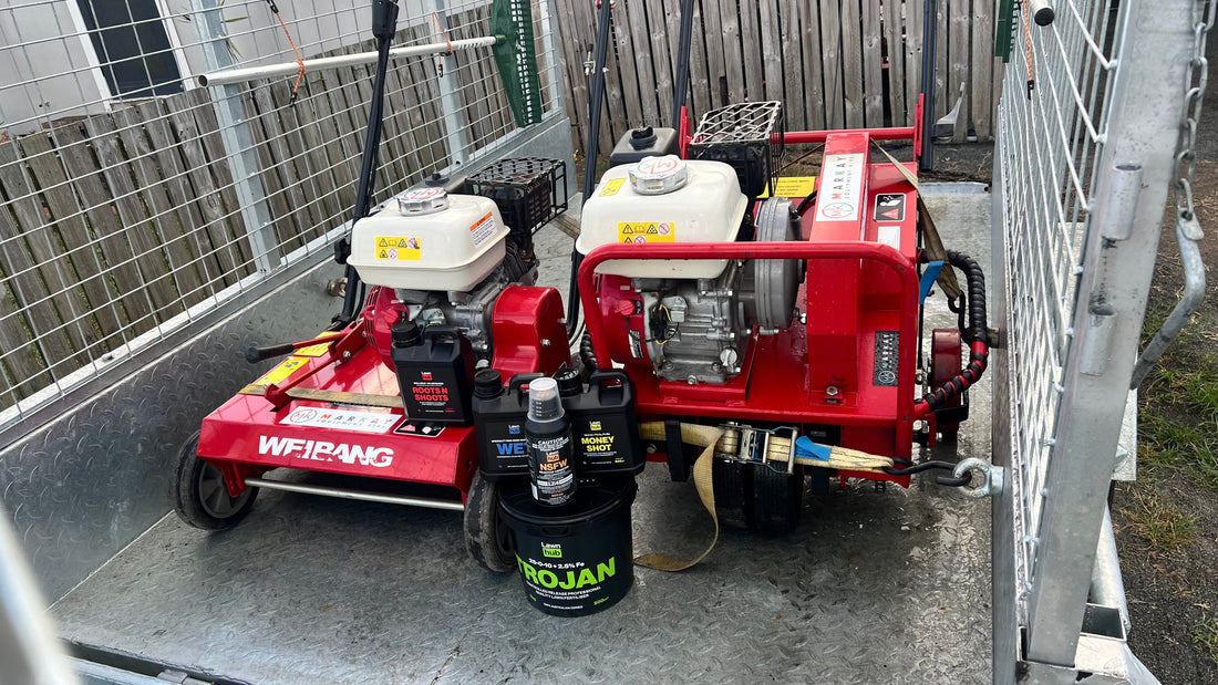 Complete Lawn Renovation Guide for Mackay