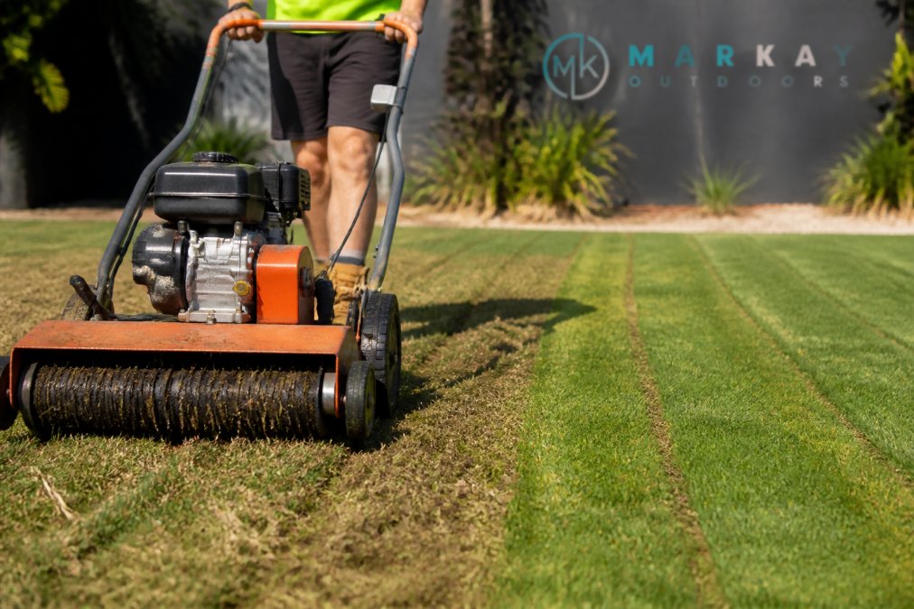 Benefits of Dethatching Before Overseeding