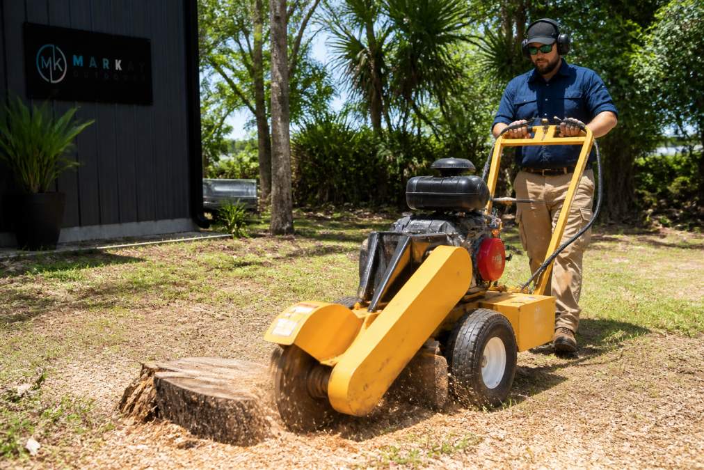 How to Choose the Right Stump Grinder for Your Job
