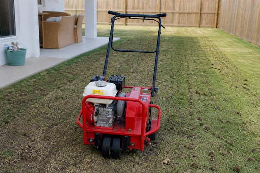 Is Professional Lawn Aeration Worth It? A DIY Guide