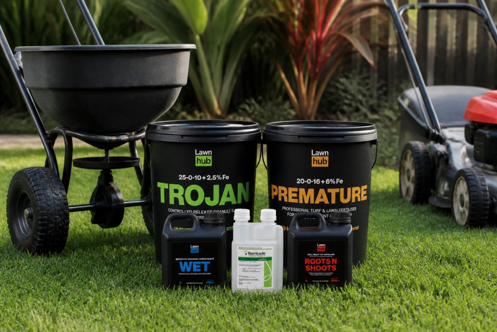 DIY Lawn Renovation Mackay | Equipment Hire Guide