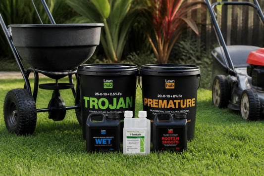 DIY Lawn Renovation Mackay | Equipment Hire Guide