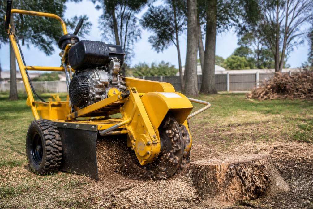 Stump Grinder Hire Guide: DIY Removal Made Simple