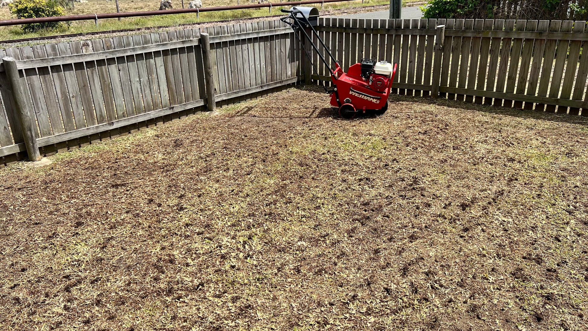 Lawn Aerator & Trailer Hire Mackay | Lawn Renovation & Soil Health | MarKay Outdoors - MarKay Outdoors