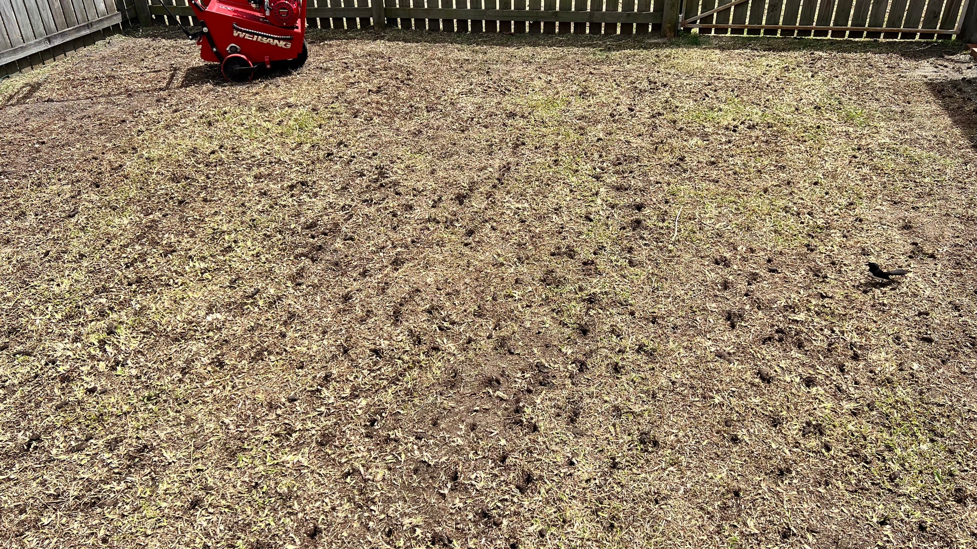 Lawn Aerator & Trailer Hire Mackay | Lawn Renovation & Soil Health | MarKay Outdoors - MarKay Outdoors