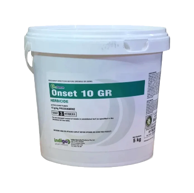 Onset 10 gr