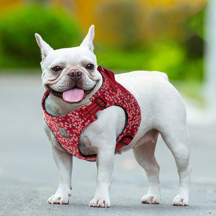 Floral Doggy Harness Red S - MarKay Outdoors